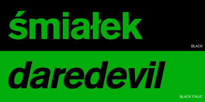 Basic Commercial Font Poster 2